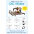 Make Your Own DC Motor