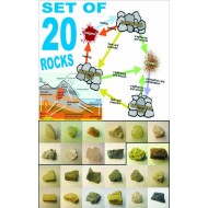 Set of 20 Rocks