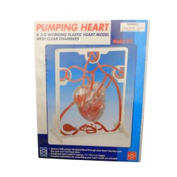 Puming Heart Model